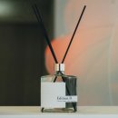 모던한 인테리어에 잘 어울리는 향의 디퓨저추천 트와네즈 에디션비 실내디퓨저
