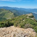 영 농장 이미지