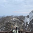 (주)페어플레이 | 백운산 일출산행 후 매화축제까지!! #매화만개💮 #페어플레이