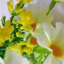 녹번동 주민센터 화장실 이미지