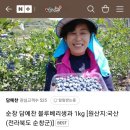 지씨엠 이미지
