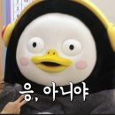 모터페스티발 | 넥센타이어 스피드웨이 모터페스티벌 2R 참가 후기. 팀레드콘. 레드콘 모터스포츠. 짐카나. 이민진작가...