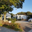 비로소433 이미지