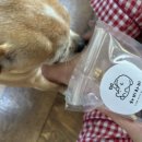 와와네 수제간식 이미지