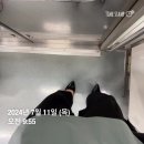 훈핏 | 로펌 실무수습 후기라 쓰고 그냥 내 삶 나눔이라 읽는 것.