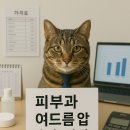 장기 카클리닉 | 2025년 피부과 여드름 압출 가격 총정리