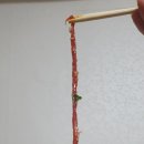 육회바른연어안성 이미지