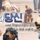 REBORN DOG 이미지