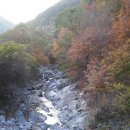 수산리-15 이미지