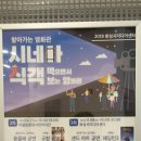 토요시네마 11월 이미지