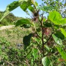 이교경로당 이미지