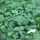 다락골농장 이미지