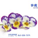 척유침구과한의원 티스토리