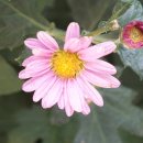 룸비니유치원 이미지