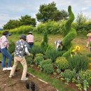 옐로우시티 이미지