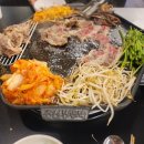 도토리김밥나라 이미지