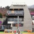 미앤마이독스 | 남양주 스타벅스 북한강 근처 애견카페 미앤마이독스 방문후기