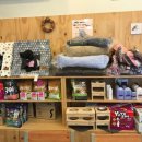 뽀뽀하니 이미지