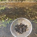 월학농장 이미지