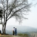 화산마을 한국일보