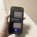 영어회화 왕초보 | 기본영어회화 스픽 내돈내산 왕초보 무료체험 사용후기
