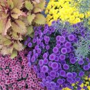 강남종로엠독학기숙학원 이미지