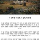 예담아이엔씨