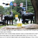 어울마당 입구(32) | [부산] 제3,4망루, 금정산성(중성) 산행후기---2023년 7월 24일(월)
