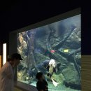 기장IC주유소 | 부산 수산과학관(FISHERIES SCIENCE MUSEUM)