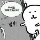 도림로141길 이미지