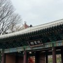 호텔 미니 | 서울 신라호텔 가을 에프터눈티세트 신라 미니 베어 후기