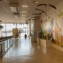 서산버드랜드 전시관(2층) 이미지