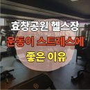 효창프라자 | [효창공원 헬스장] 운동이 스트레스에 좋은 이유