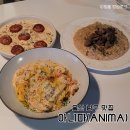 울산 남구 맛집 아니마 트러플크림리조또 내돈내산