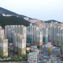 선수촌공인중개사사무소 이미지