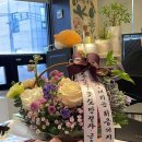 블룸팔레트 이미지