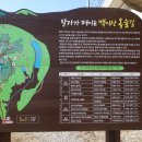 6월 8일(목)제453차 경남 함안군 백이산(369m)숙제봉(356m)산행 후 (악양생태공원 금계국꽃길 이미지