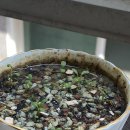 사가정로51길 (18) 이미지