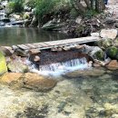 화양원탑캠핑장 | [1탄] 충북 계곡 캠핑장 추천 화양원탑 오토캠핑장 1박2일 후기 :: 안성맞춤휴게소, 괴산원탑캠핑장