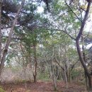 금산마을회관 이미지