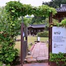 압록유원지 Daum카페
