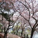 선암호수공원 소공연장 화장실 | 울산 가볼만한곳-울산 선암호수공원 봄