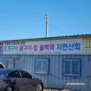 삼산방조제주차장 네이버블로그