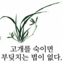 당신은 현명한 사람 이미지