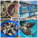 궁평리해수욕장 아이랑 갯벌체험에서 수산시장까지, 가족나들이 장소 추천