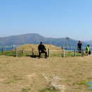 바람의언덕 이미지