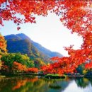 꿈동산유치원 이미지