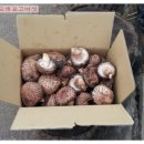 흰돌농장 이미지