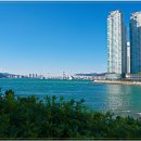 마린씨티 Daum카페