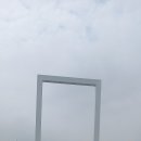 용장천 | 서산시 운산면 용장천에 위치한 폭싹 속았쑤다~!!유채꽃 보러오세요~!!